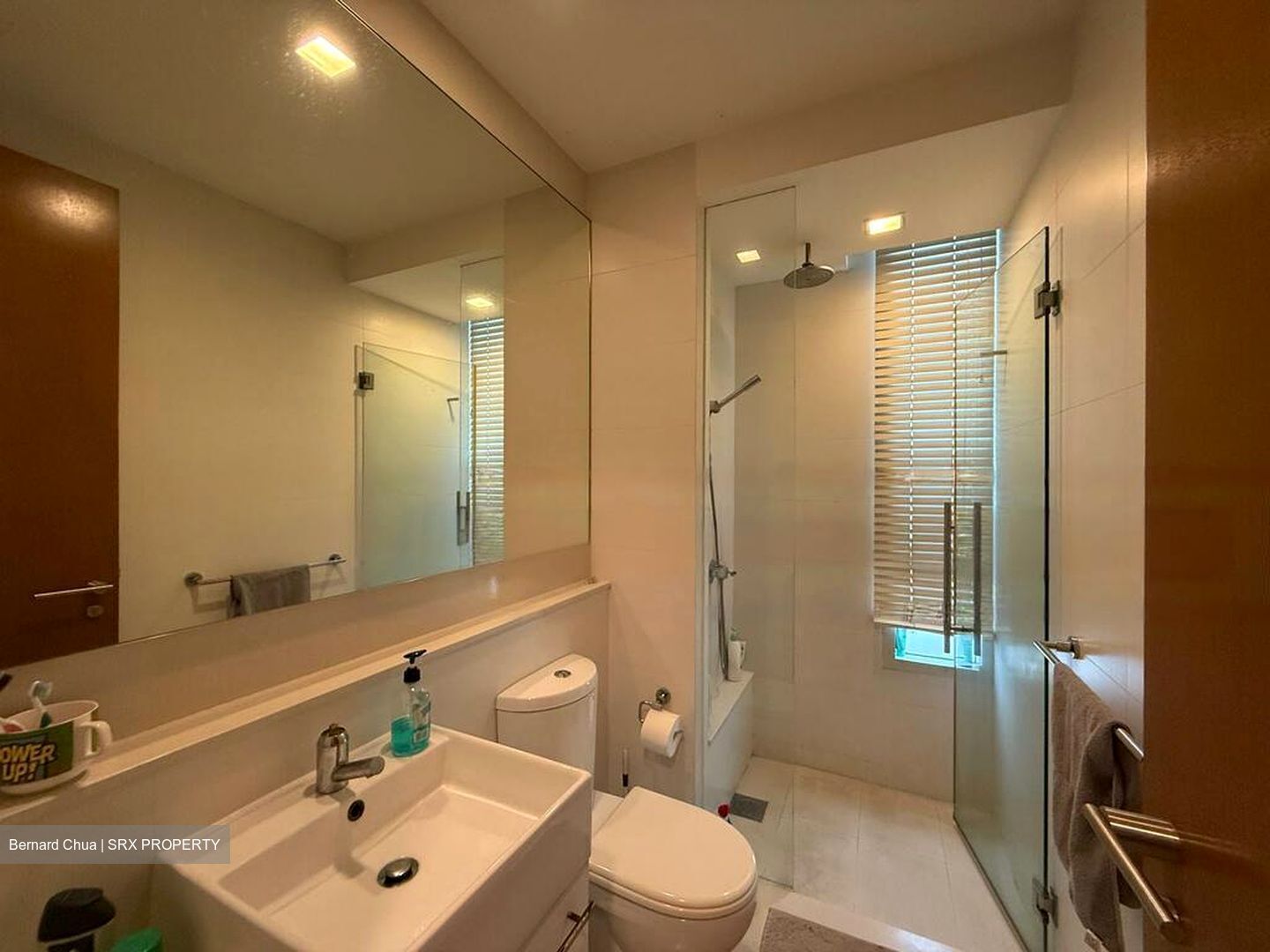 The Sea View (D15), Condominium #485676851